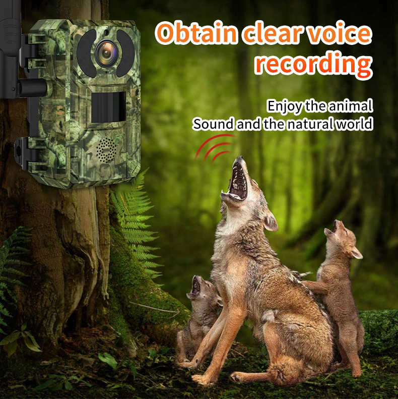 H10 4G Hunting Trail   With So - Outdoor Hunting Camera Wireless recension och pris