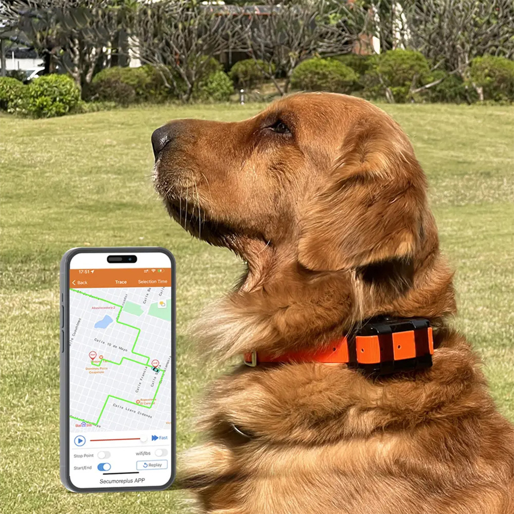 CY09A Portable Pet GPS Tracker - Outdoor Hunting Dogs recension och pris