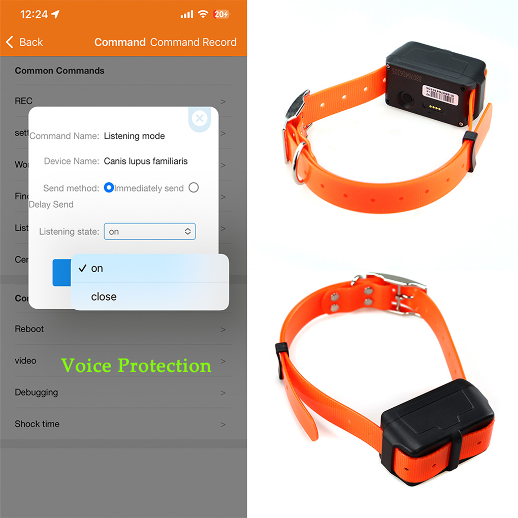 CY09A Portable Pet GPS Tracker - Outdoor Hunting Dogs recension och pris