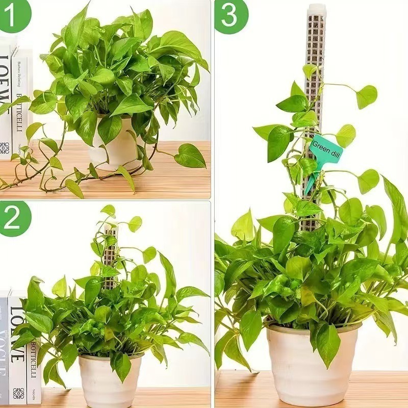 1/2/3pcs Self-watering Moss Po - Tree Stand Ladder recension och pris