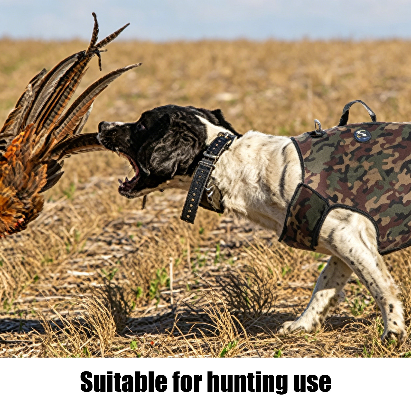 Camouflage Hunting Dog Clothes - Outdoor Hunting Dogs recension och pris