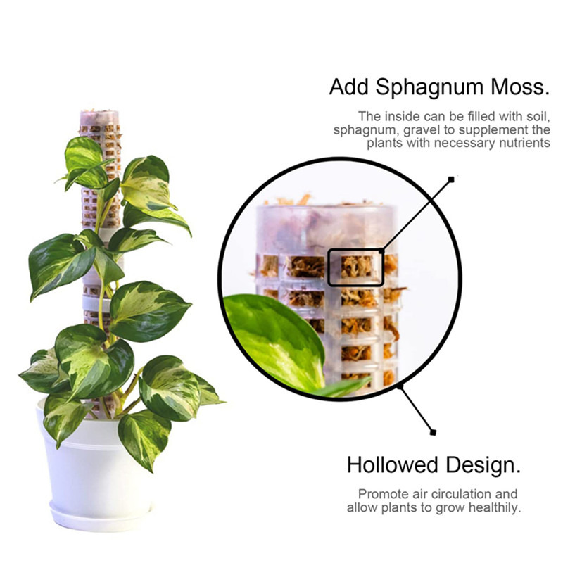 Plant Climbing Column Sphagnum - Tree Stand Ladder recension och pris