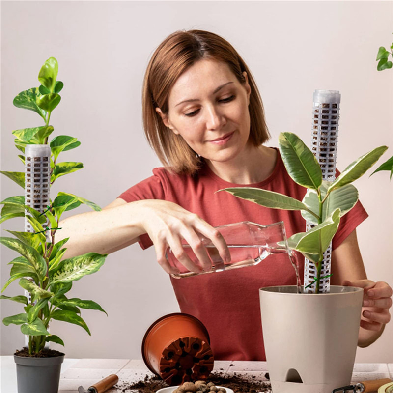 Plant Climbing Column Sphagnum - Tree Stand Ladder recension och pris