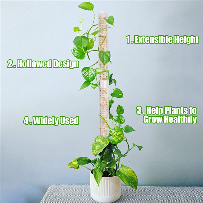 Plant Climbing Column Sphagnum - Tree Stand Ladder recension och pris