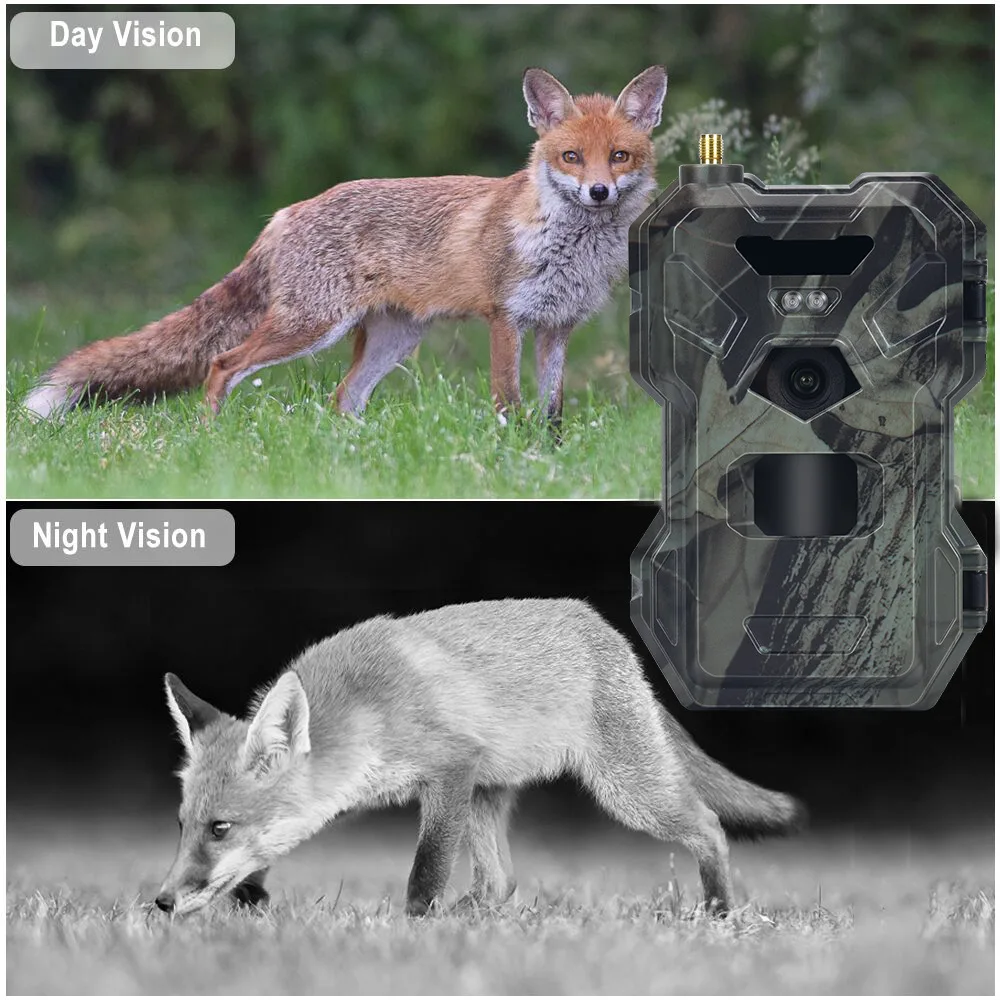 HC-880Pro Outdoor 4G 30MP HD 2 - Outdoor Hunting Camera Wireless recension och pris