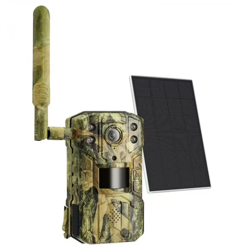 2K Support Solar Powered Lithi - Outdoor Hunting Camera Wireless recension och pris