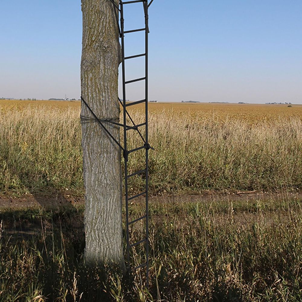 Portable 2-Person Hunting Tree - Tree Stand Ladder recension och pris