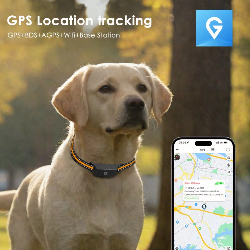 Dog GPS Tracker Outdoor Campin - Outdoor Hunting Dogs recension och pris