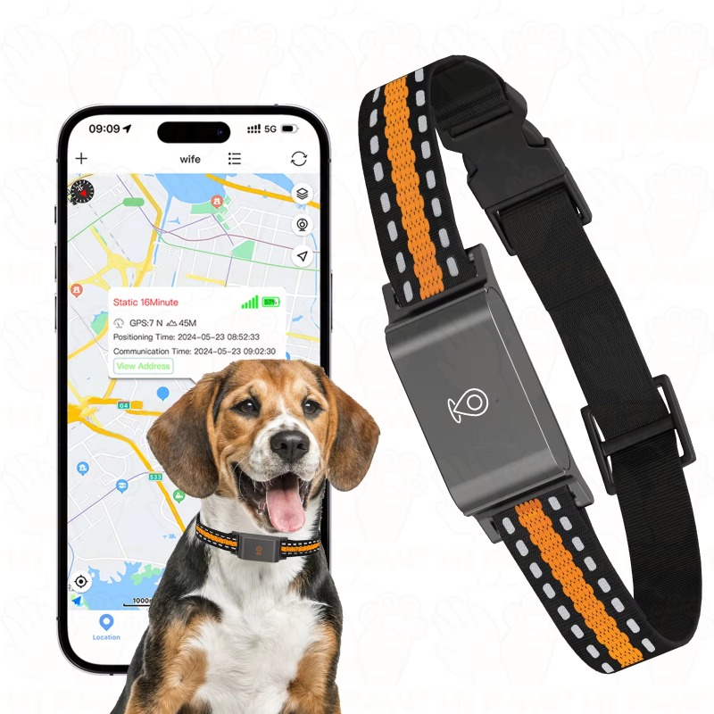 Dog GPS Tracker Outdoor Campin - Outdoor Hunting Dogs recension och pris